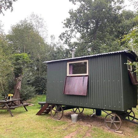 The Shepherd'S Hut - Wild Escapes Wrenbury Off Grid Glamping - Ages 12 And Over Baddiley ภายนอก รูปภาพ
