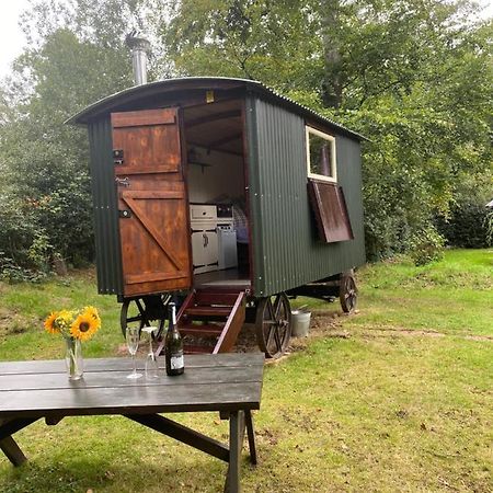 The Shepherd'S Hut - Wild Escapes Wrenbury Off Grid Glamping - Ages 12 And Over Baddiley ภายนอก รูปภาพ