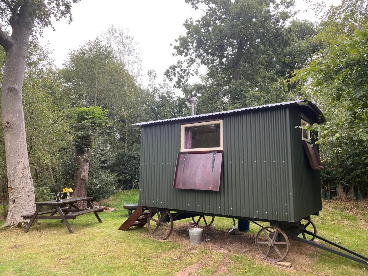 The Shepherd'S Hut - Wild Escapes Wrenbury Off Grid Glamping - Ages 12 And Over Baddiley ภายนอก รูปภาพ