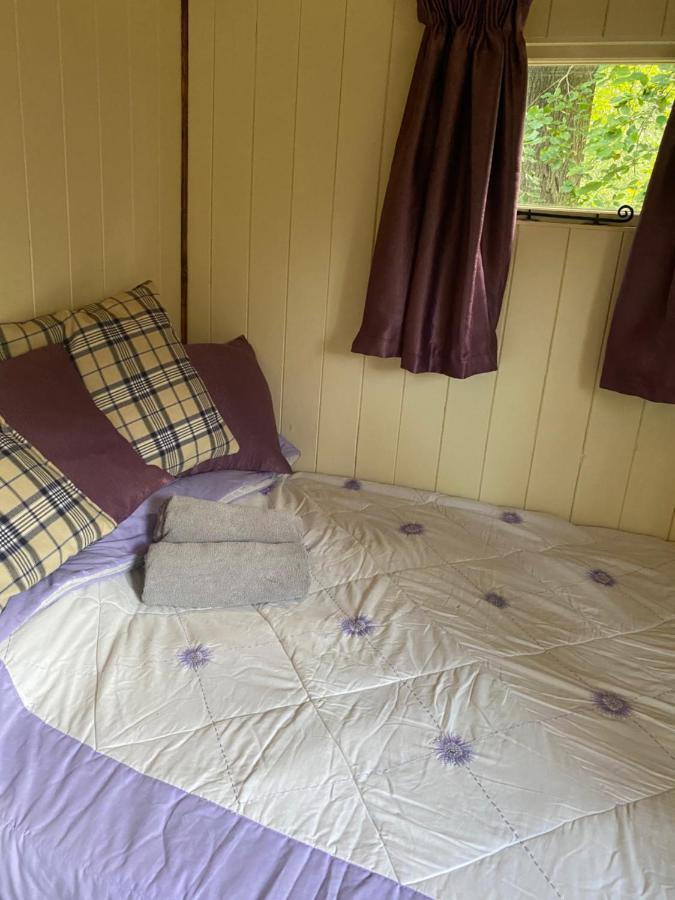 The Shepherd'S Hut - Wild Escapes Wrenbury Off Grid Glamping - Ages 12 And Over Baddiley ภายนอก รูปภาพ